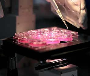 Aspect Biosystems Partners with InSCREENeX and Fraunhofer ITEM