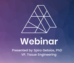 [Webinar]: Microfluidic 3D bioprinting and functional characterization of a contractile smooth muscle tissue model