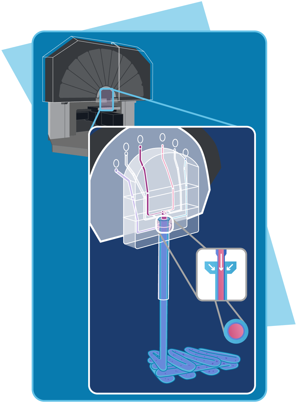 Bioengineered tissue assembly